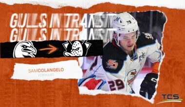 Anaheim Ducks Recall Sam Colangelo From San Diego