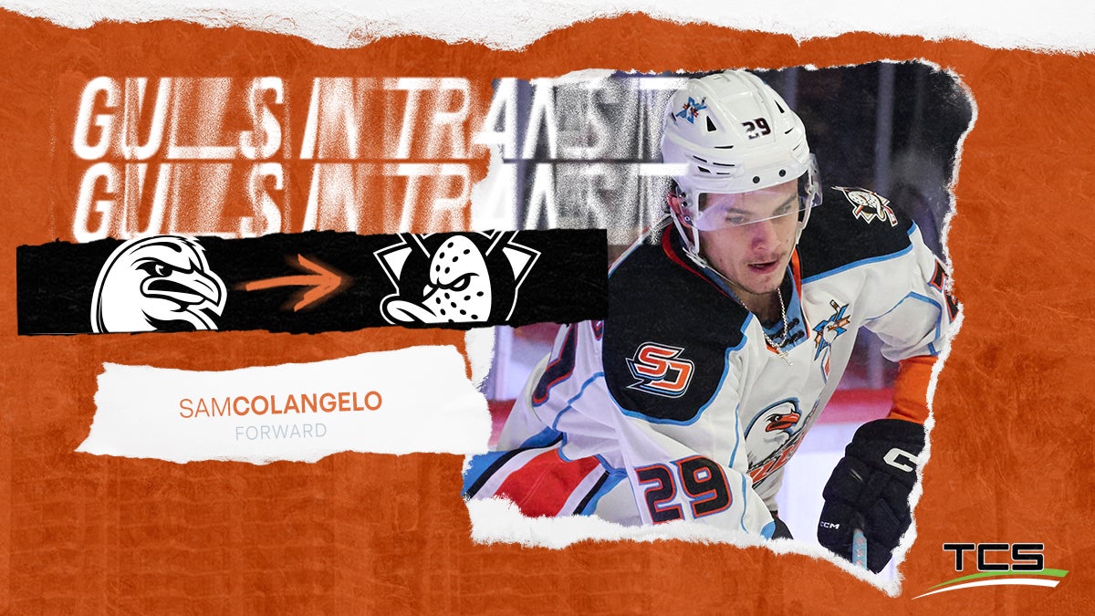 Anaheim Ducks Recall Sam Colangelo From San Diego