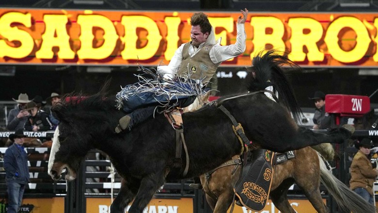 San Diego Rodeo (Photo by Chris Stone/Times of San Diego)