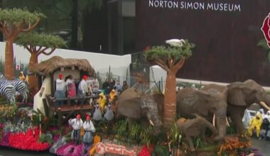 San Diego floats bloom bright at 2026 Rose Parade – NBC 7 San Diego