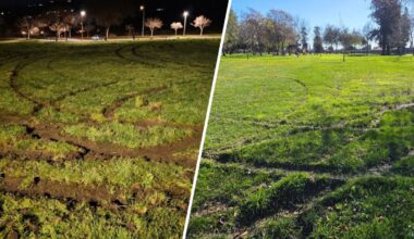 Grass fields at East San Jose parks vandalized – NBC Bay Area