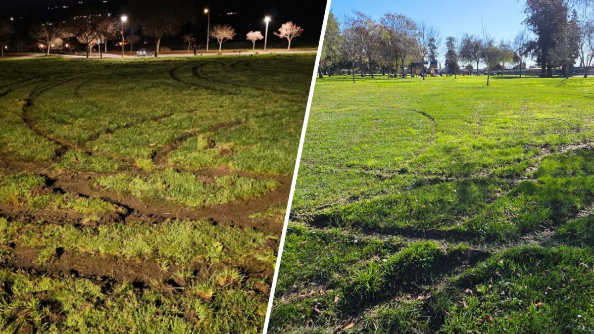 Grass fields at East San Jose parks vandalized – NBC Bay Area