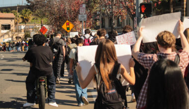 Students Walk Out Across Orange County Protesting ICE Raids