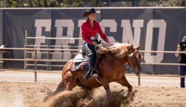 Fresno State equestrian Brogan Hill chases top honors at Denver stock show