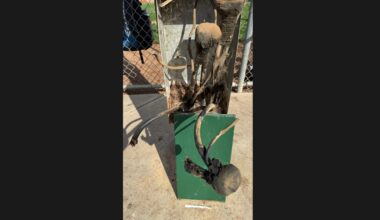 Long Beach Little League Hit By Copper Thieves on Eve of Season – The562.org