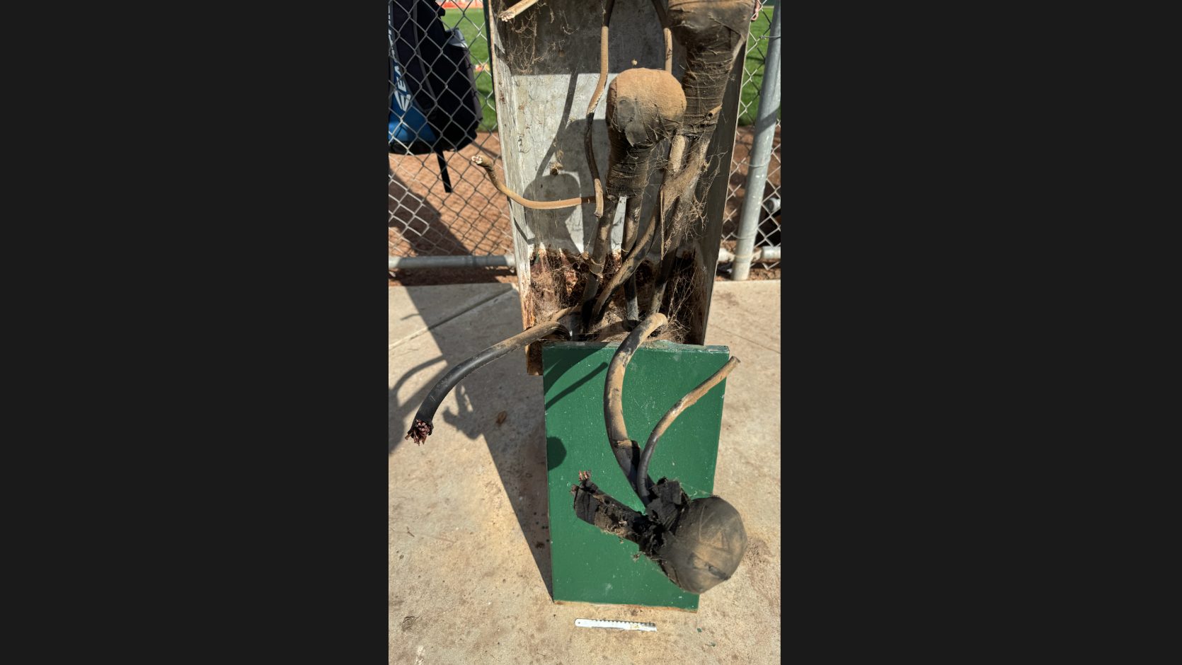 Long Beach Little League Hit By Copper Thieves on Eve of Season – The562.org