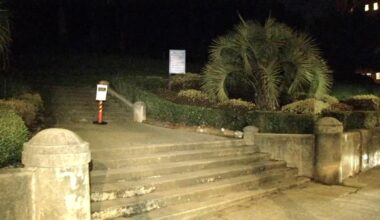 Mountain lion sightings put San Francisco’s posh Pacific Heights on high alert