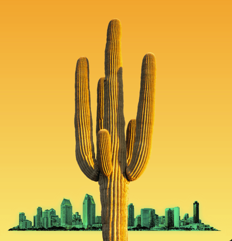 A cactus in the foreground, the San Diego skyline in the background.
