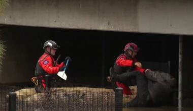 Man trapped under bridge by rising floodwaters rescued in Mission Valley – NBC 7 San Diego