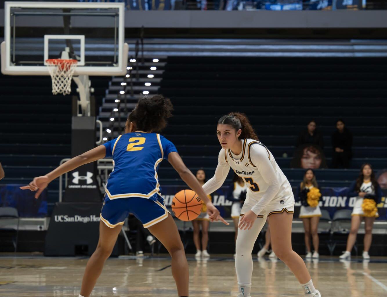 Women’s basketball rolls to 84-66 victory against Bakersfield, wins sixth straight – The UCSD Guardian