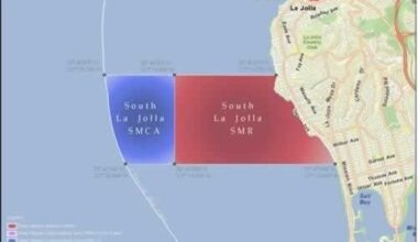 La Jolla marine protected area is ‘one of the most poached’ in California, group says – San Diego Union-Tribune