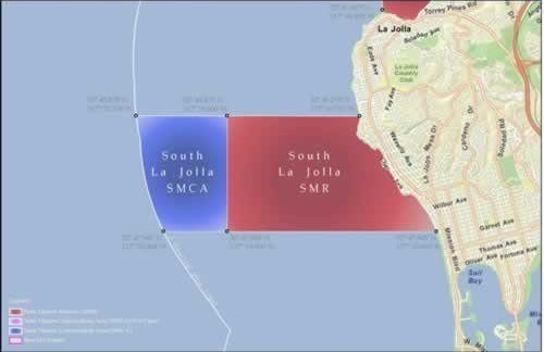 La Jolla marine protected area is ‘one of the most poached’ in California, group says – San Diego Union-Tribune