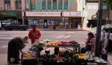 A vendor sells fruits in downtown Los Angeles, Tuesday, April 8, 2025. (AP Photo/Jae C. Hong)