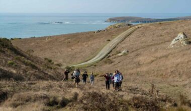 This Massive Stretch of California’s Sonoma Coast Just Opened to the Public for the First Time in 100 Years