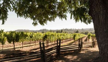 This Tiny Town Is the Jewel of California Wine Country, With Some of the World's Top Restaurants and Resorts