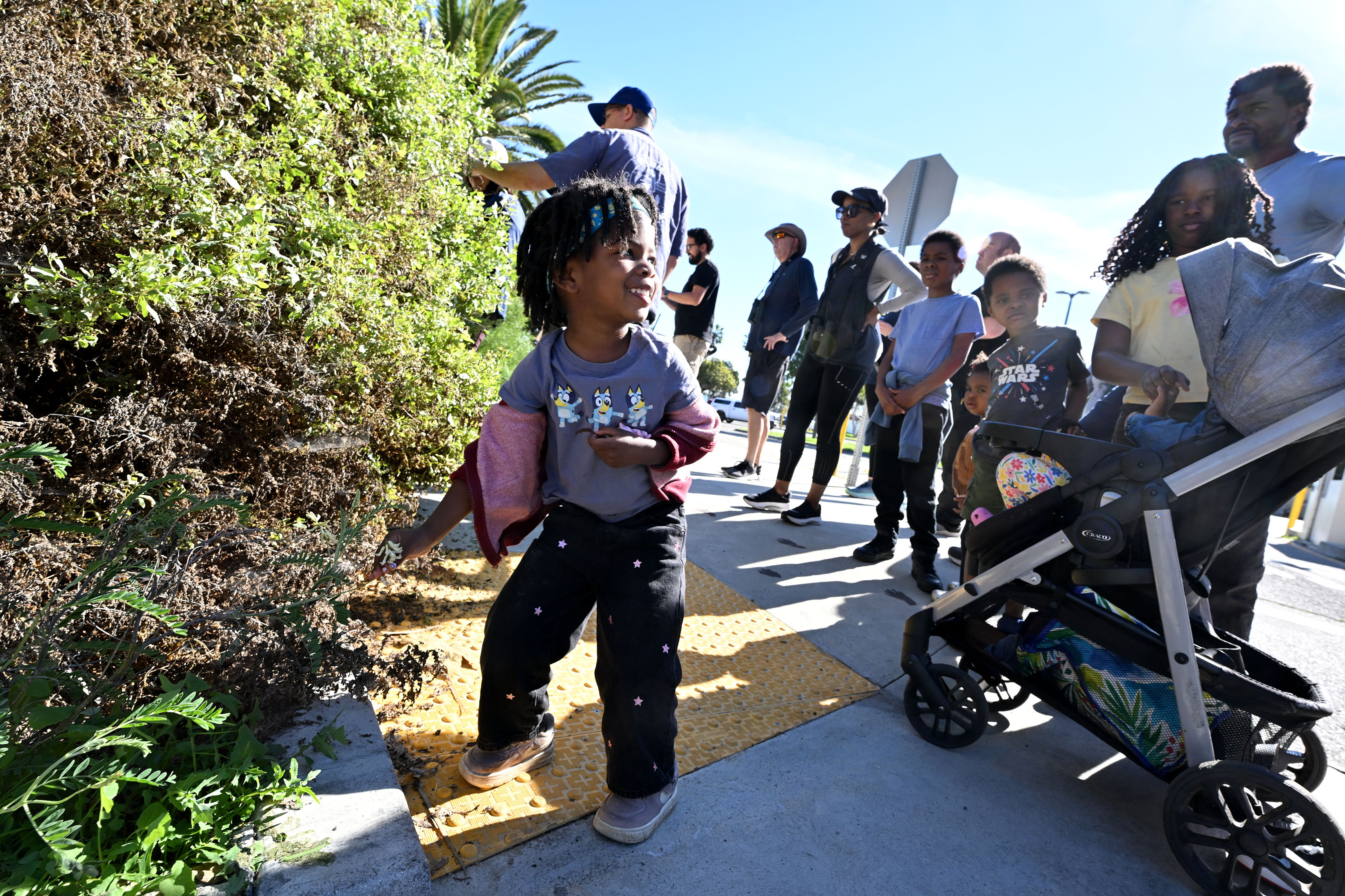 Pria Hampton, 3, has a close look at native plants...