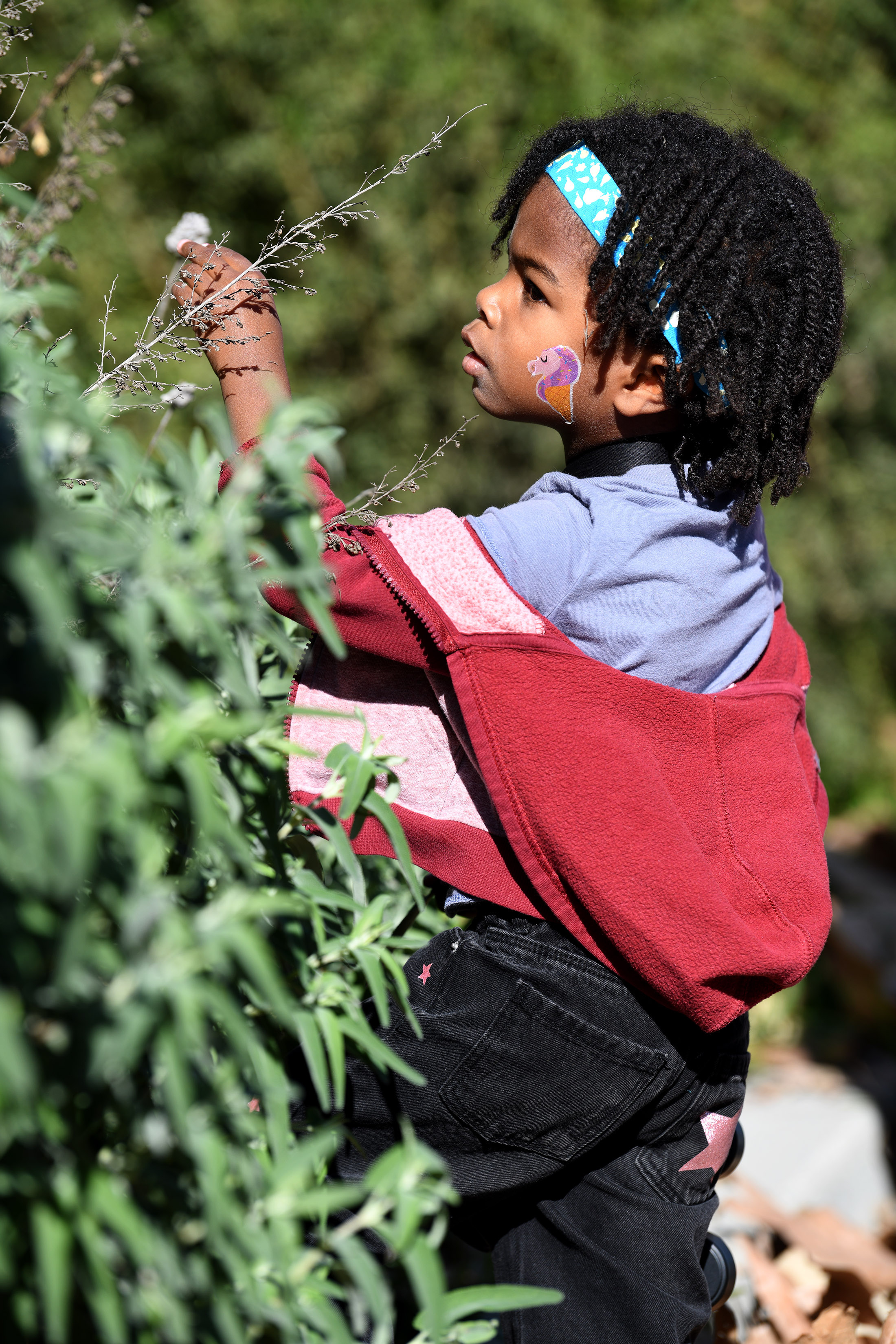 Pria Hampton, 3, has a close look at native plants...