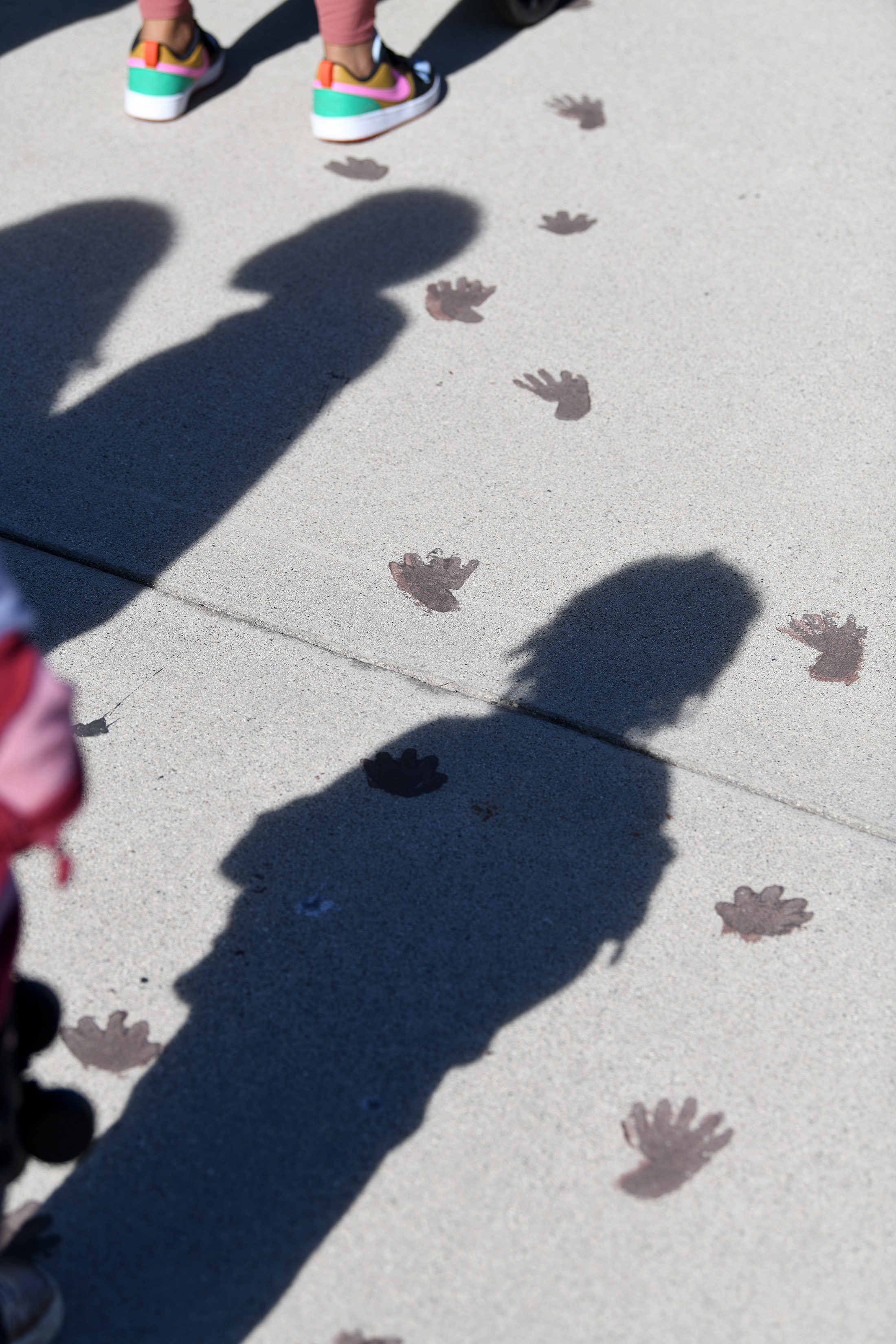 Aquarium educators guide participants on a Cabrillo Beach walk through...