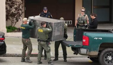 Mountain lion roams posh San Francisco neighborhood before being captured
