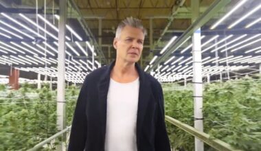 Oakland County weed entrepreneur creates ‘CannaBiz Rescue’ reality show to help save struggling dispensaries in US – The Oakland Press