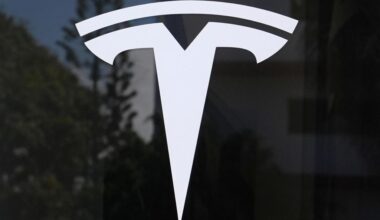 Tesla loses title as world's biggest electric vehicle maker