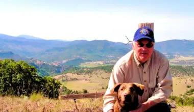 Thomas Fogarty, winery founder and medical innovator, dies