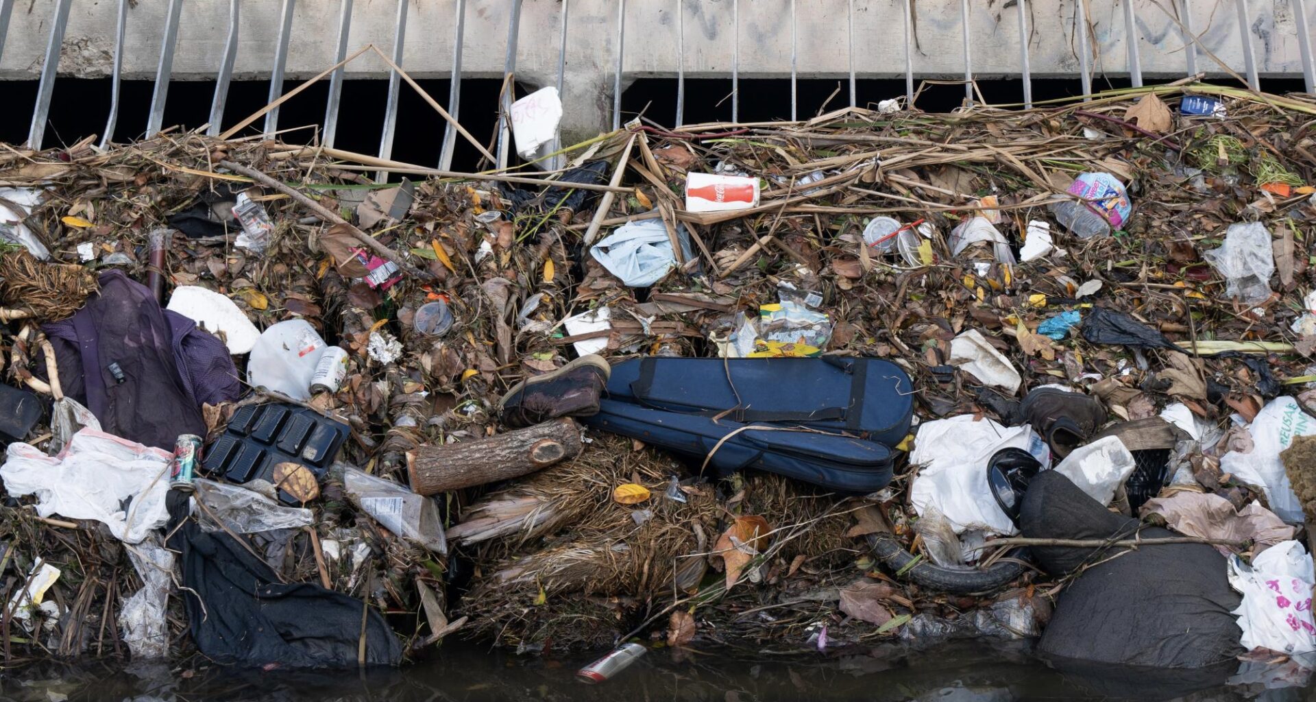 When it rains, it pours — especially for San Diego’s stormwater system – The UCSD Guardian