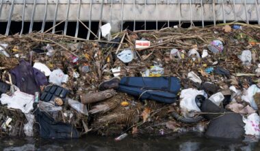 When it rains, it pours — especially for San Diego’s stormwater system – The UCSD Guardian