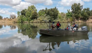 ARMY CORPS: Telemetry surveys: Tracking life beneath the surface ~ MAVEN'S NOTEBOOK