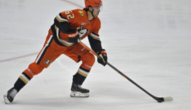 Ducks Reassign Nikita Nesterenko – Pro Hockey Rumors