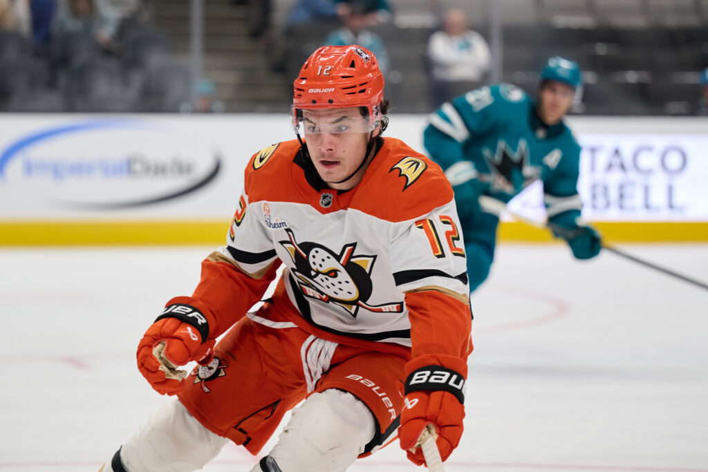 Ducks Recall Sam Colangelo, Place Troy Terry On Injured Reserve – Pro Hockey Rumors