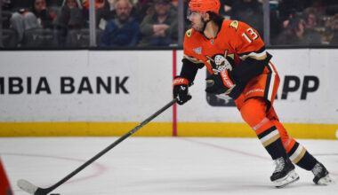 Ducks Place Nikita Nesterenko On Waivers