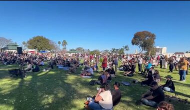 Anti-ICE rallies held across San Diego and multiple other SoCal counties – NBC 7 San Diego