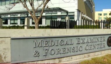 Medical examiner ID’s 4 people killed on San Diego roads – NBC 7 San Diego