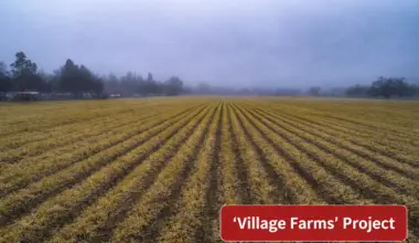 Opinion | Sacramento Bee Frames Village Farms Vote as Test of Davis’ Future