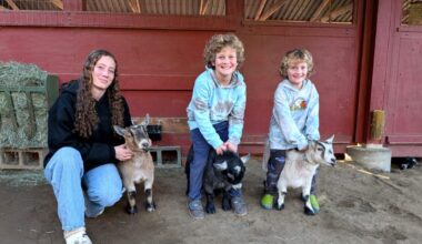 Santa Clara County Fair date change hurts youth farmers
