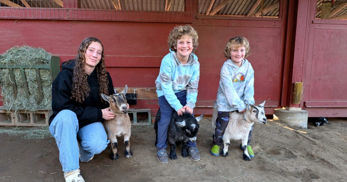 Santa Clara County Fair date change hurts youth farmers