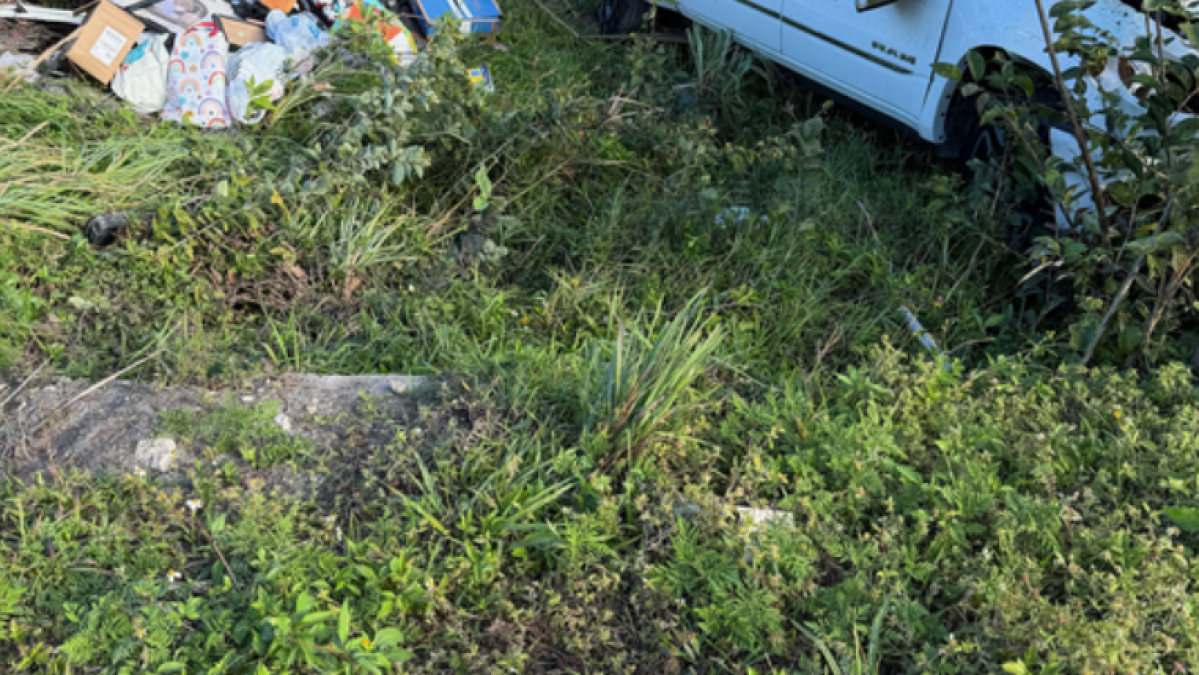 4 hospitalized after crash in Oakland Park – NBC 6 South Florida