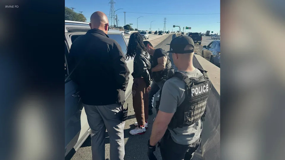 Irvine luxury bag thief