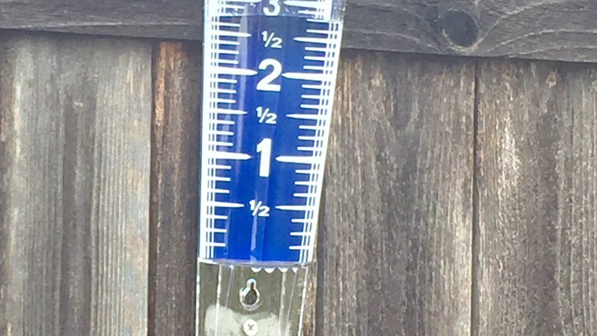 Here’s how much rain fell in San Diego communities on Thursday morning – NBC 7 San Diego