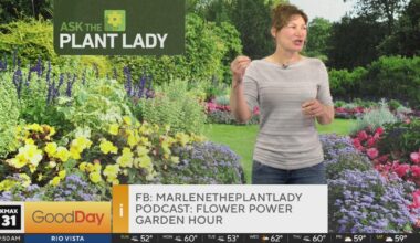 The Plant Lady 9am Pt. 2