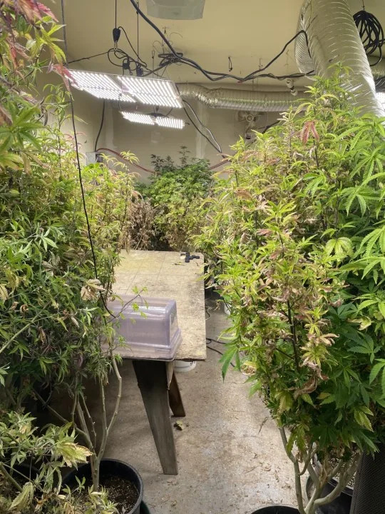 Photo courtesy of the Bakersfield Police Department