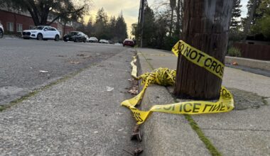 Coroner identifies man killed in Arden Arcade shooting; police asking for public's help