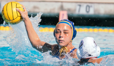 San Jose State University Logo