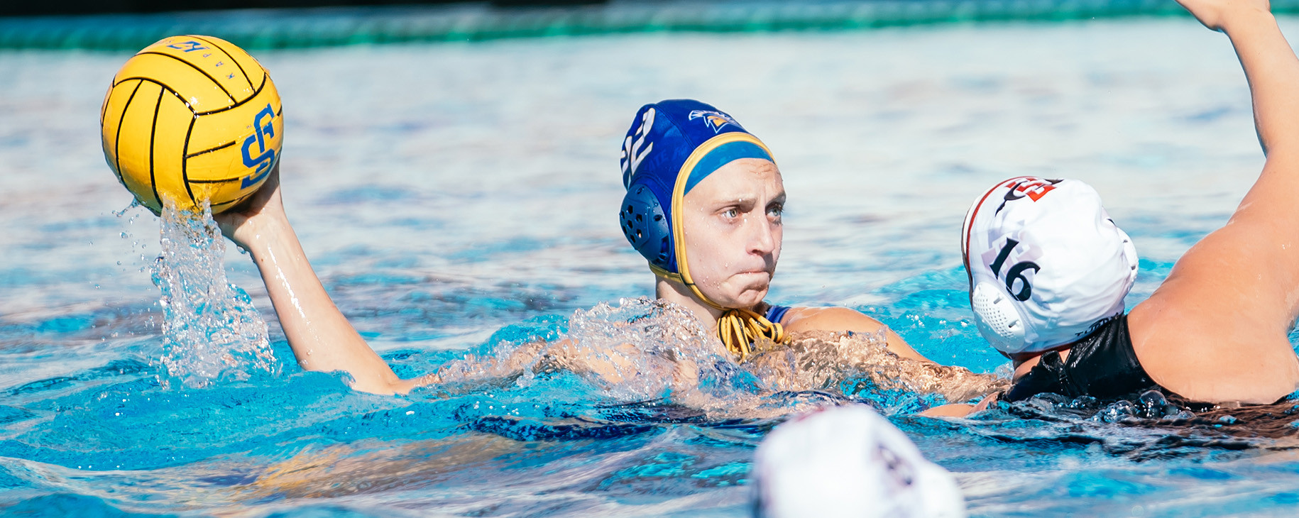 San Jose State University Logo