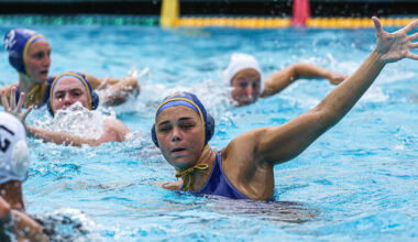 San Jose State University Logo