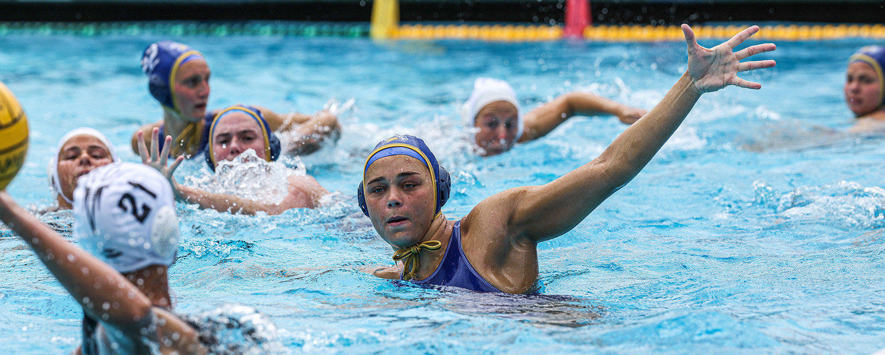 San Jose State University Logo