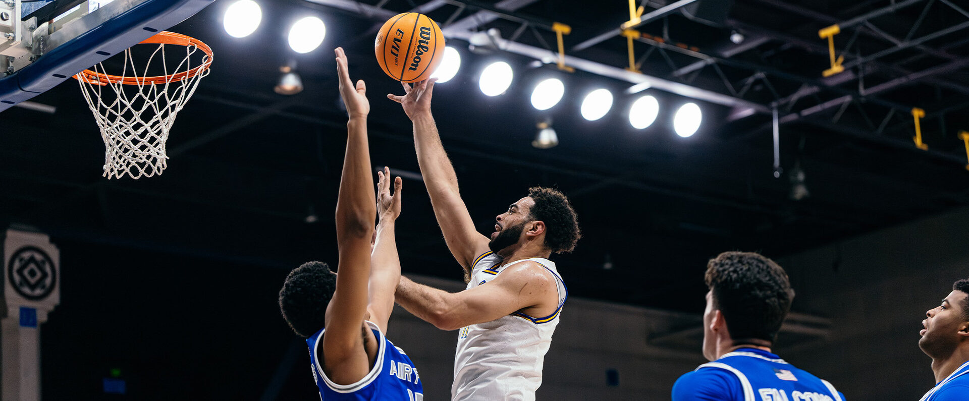 San Jose State University Logo