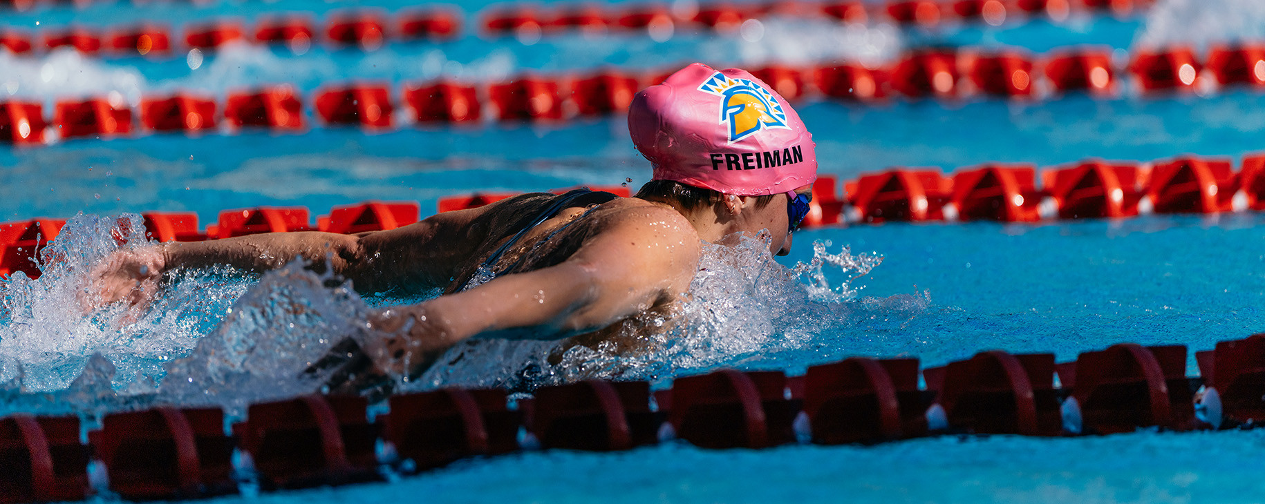San Jose State University Logo