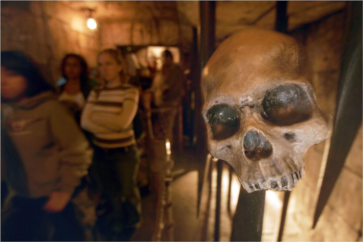  Don Kelsen/Los Angeles Times/Getty The queue for the Indiana Jones Adventure ride at Disneyland